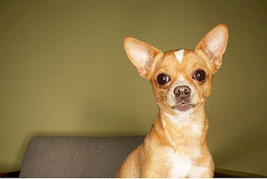 《叛乱：沙漠风暴》今日登陆主机，现在去体验紧张刺激的现代战斗！